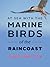 At Sea With the Marine Birds of the Raincoast by Caroline  Fox