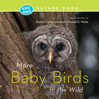 More Baby Birds in the Wild (Kids' Own Nature Book)