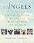 Angels: The Definitive Guide to Angels from Around the World