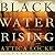 Black Water Rising