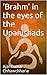 ‘Brahman’ in the Eyes of th...