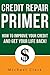Credit Repair Primer by Michael Clark