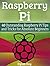 Raspberry Pi: 40 Outstanding Raspberry Pi Tips and Tricks for Absolute Beginners (raspberry pi 2, raspberry pi 2 book, raspberry pi projects)