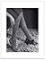 #1759 LACE PATTERN STOCKING...