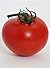 Tomatoes: tomato seeds: tom...
