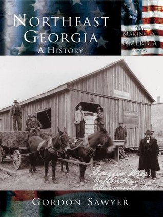 Northeast Georgia: A History (Making of America)