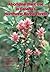 Aboriginal Plant Use in Canada's Northwest Boreal Forest by Robin J. Marles