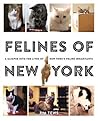 Felines of New York by Jim Tews