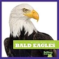 Bald Eagles