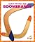 Boomerangs (Pogo: Early Physics Fun)