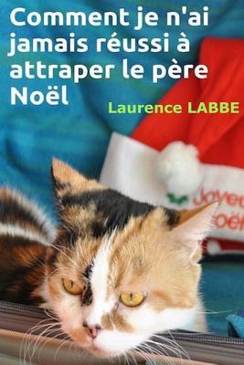 Comment je n'ai jamais réussi à attraper le père Noël (French Edition)