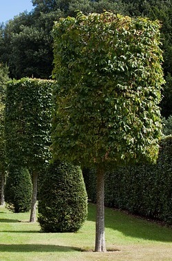 Pasa siempre en esta casa (Unknown Binding)