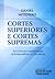Cortes Superiores e Cortes Supremas: do controle à interpretação, da jurisprudência ao precedente