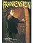 inZone Book: Frankenstein (Reader's Workshop)
