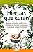 Hierbas que curan: Recetas ...