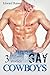 Gay Cowboys (3 Book Bundle)