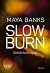 Slow Burn – Gefährliche Lust (Slow Burn, #3)