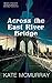 Across the East River Bridge