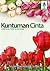 Kuntuman Cinta by Muhammad Abdulloh Suradi