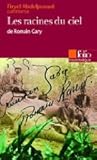 Les racines du ciel de Romain Gary