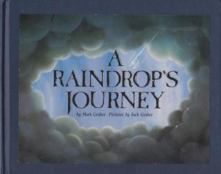 A Raindrop's Journey