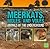 Meerkats, Moles, and Voles: Animals of the Underground (Underground Safari)