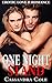 One Night Stand