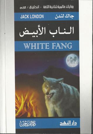 الناب الأبيض