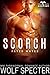 Scorch (Dragon's Destiny: F...