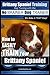 Brittany Spaniel Training | Dog Training with the No BRAINER Dog TRAINER ~ We Make it THAT EASY!: How to EASILY TRAIN Your Brittany Spaniel