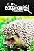 Hedge Hogs - Kids Explore: Animal books nonfiction - books ages 5-6