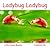 Ladybug Ladybug (Life Cycle Books)