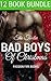 The Twelve Bad Boys of Christmas by Passion Fire Books