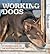 Working Dogs - A Celebration of an Australian Icon