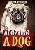 Adopting A Dog: Everything ...