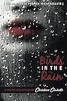 Birds in the Rain