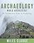 Archaeology by Miles Clarke