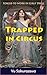 The Forbidden Circus: A Forced Feminization Story