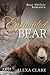 Enchanted by the Bear