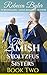Rumspringa Anguish (The Amish Stoltzfus Sisters #2)