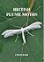 BRITISH PLUM MOTHS