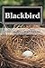 Blackbird