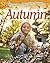 Autumn by Clare Collinson