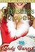 Christmas In Diapers: A Fun, Festive, Erotic, Age Play Story!