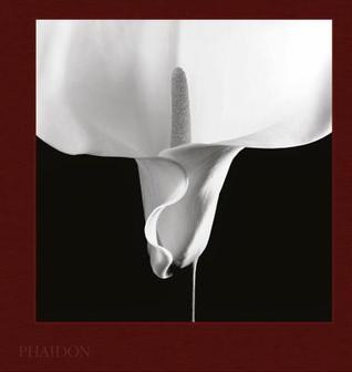 Mapplethorpe Flora: The Complete Flowers (Hardcover)