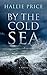 By the Cold Sea
