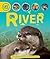 Life Cycles: River