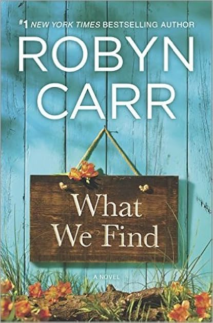 What We Find (Sullivan's Crossing, #1)