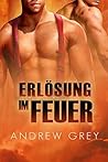 Erlösung Im Feuer by Andrew  Grey