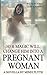 Her Magic Will Change Him into a Pregnant Woman: A Novella